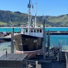 Apollo Bay Fishermen's Co-Op User Photo