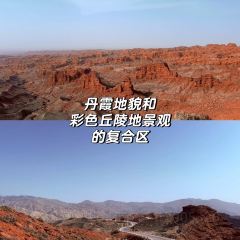 党氏卷子鸡(南关店) User Photo