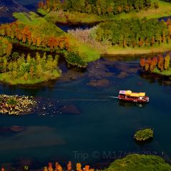 普者黑木可千寻精品度假民宿·餐厅 User Photo