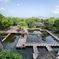 LAODIFANG HAIXIANFANG User Photo