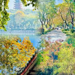 Old Kitchen User Photo