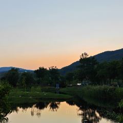 枇杷熟了coffee User Photo