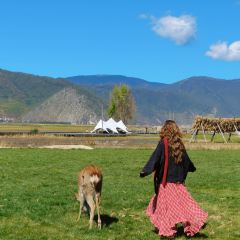 黑豆咖啡屋 User Photo