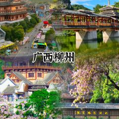 潁陽水席張用戶圖片