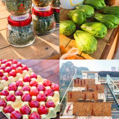 李家庄农家院 User Photo