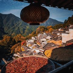 YEXIWANGSHAGUO User Photo