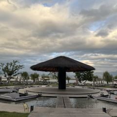 Black Swan Cafe User Photo