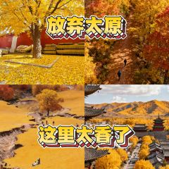 Mr chai Noodle User Photo