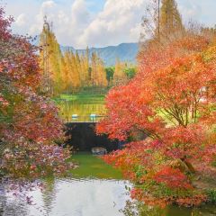 XIA NAN WA BAO JI User Photo