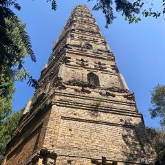 RONG CUISINE 여행 사진