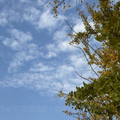 袁姐萝卜饺子(中山路店) User Photo