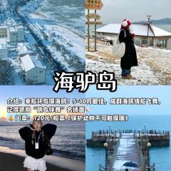 群發餃子(大潤發店)張用戶圖片