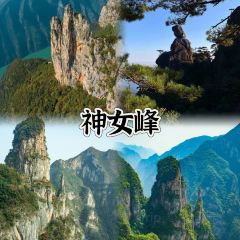 一家館子紙包魚張用戶圖片