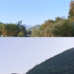 老李家燒烤·安吉網烤（安吉店）張用戶圖片