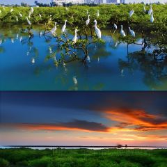 WEI ZHOU ISLAND See You Tomorrow User Photo