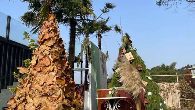 半山谷Ban Valley微度假野奢营地