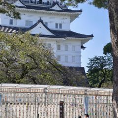 Odawara User Photo