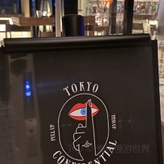 Tokyo Confidential User Photo