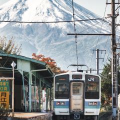 Fujiyama Cookie User Photo