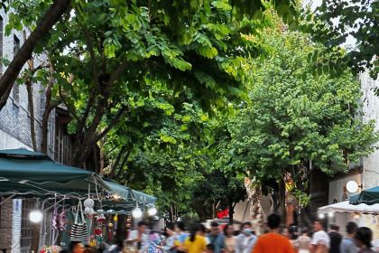 全鸭季·得月·福建菜·北京烤鸭(上下杭店)