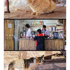 Domiloon Resturant and Watermill User Photo