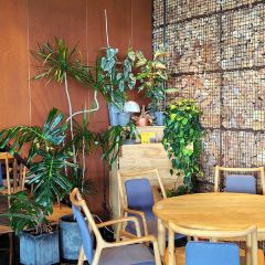 一尺花园(园博园店) User Photo