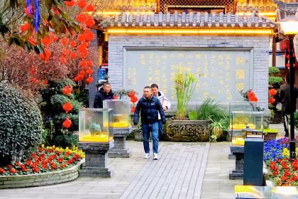 龙腾庭院火锅(恒大新城店)