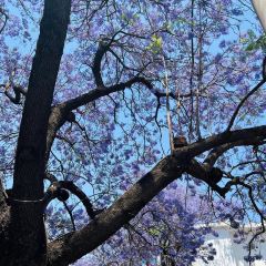 凉山州彝族自治州西昌市布托县城 User Photo