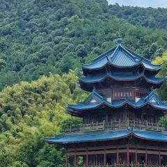 同路人(汇丰店) User Photo