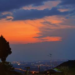 树野融合餐厅 User Photo