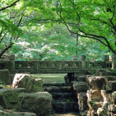 含晖面馆(虞景文华店) User Photo