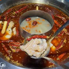 Yuzhidaoshiguohuoyuguan User Photo