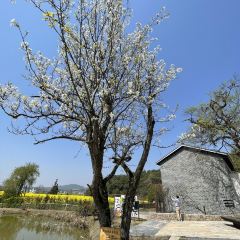 Sanshi Restaurant User Photo