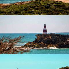 Sails at Robe User Photo