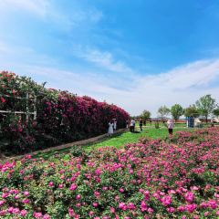 云间花境餐厅 User Photo