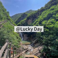 山阳丹青吊脚楼·山谧丨茶餐厅 ảnh của người dùng