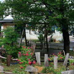 SOYA素晏咖啡(南山店) User Photo
