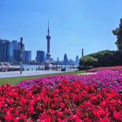 Hacker-Pschorr User Photo