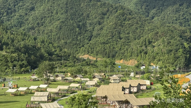 dai wang ling feng jing qu