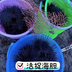 Time User Photo