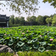 Lao huai cheng Monopterus albus noodles (xin huai branch) User Photo