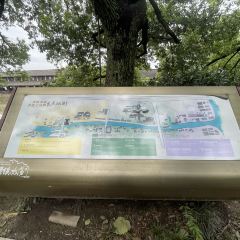 五芳齋(沈蕩店)張用戶圖片