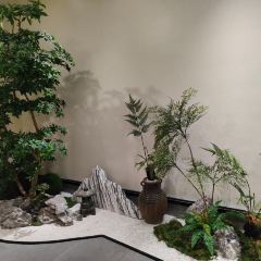 五畝地張用戶圖片
