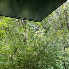 紫金山院張用戶圖片