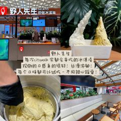 NANJING INDUU ANTIQUE User Photo