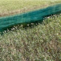 Bianbianjiecangyage Restaurant User Photo