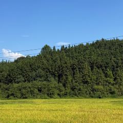 树蛙部落(仙女湖店)·餐厅 User Photo