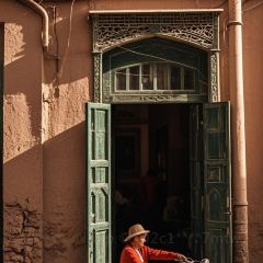 黃金樽美食張用戶圖片