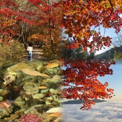 Number One User Photo