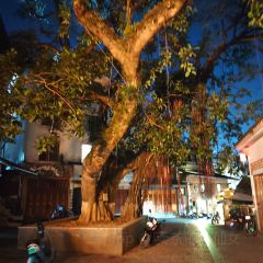 申记臭豆腐煮鱼(五一步行街店) User Photo